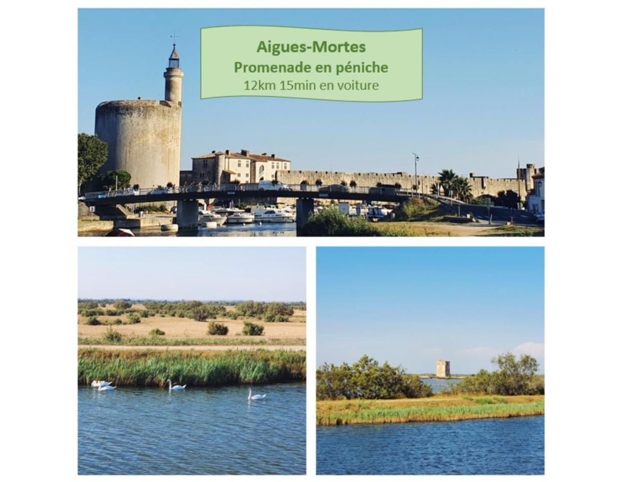 T2 Traversant Familial Cap Sud Parking Plages - Rossiconciergerie - Linge En Option La Grande Motte Exteriér fotografie